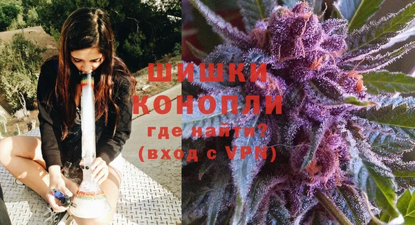 бошки Алексин